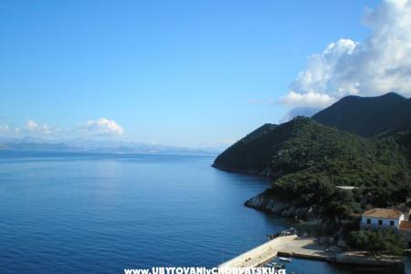 Pansion Hazdovac photo 3