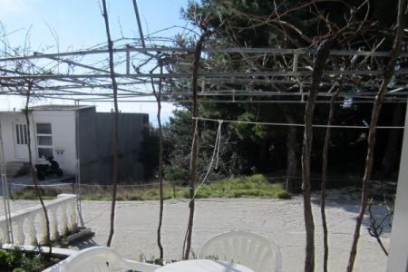 Apartments Paula i Ante photo 5