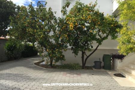 House Grazia photo 5