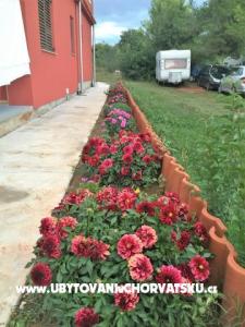 Apartments Gabrijel photo 3