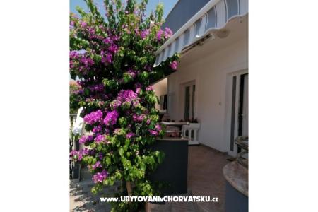 Apartments Šime photo 3