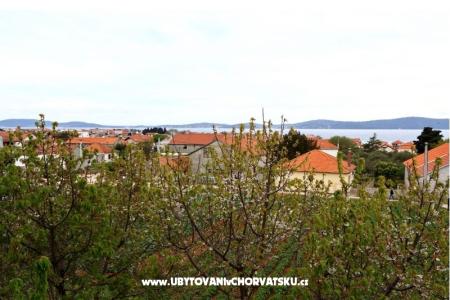 Apartment Ante photo 5