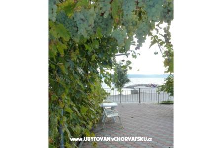 Bibinje Apartments photo 2