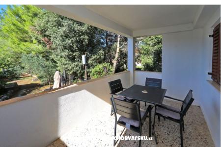 Casa Nostra photo 3