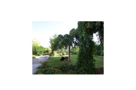 Apartment Smilja     photo 3