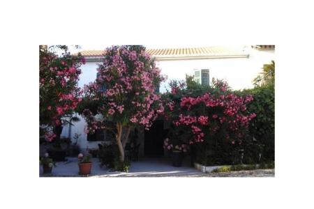 Apartments Gabi photo 2