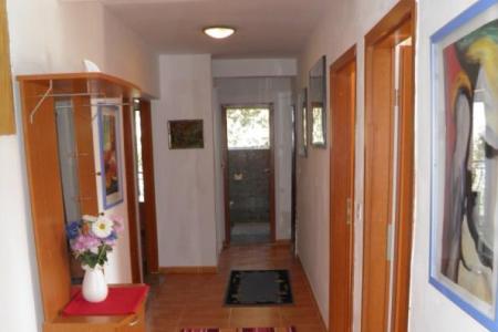 Apartments Peran photo 4