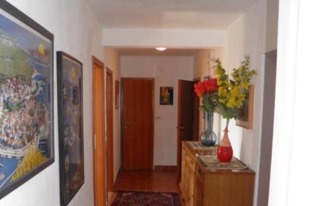 Apartments Peran photo 5