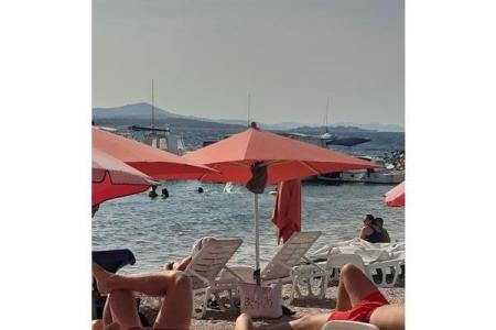 Apartments Stefani photo 2