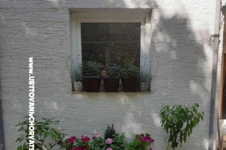 VILLA BERNARD..150 m plaža DRAŽICA photo 4