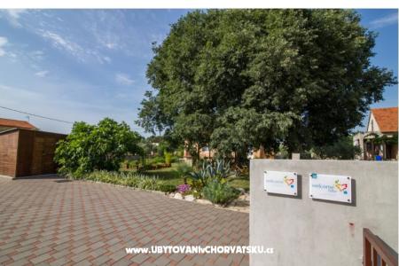 Studio apartmani Petra photo 3