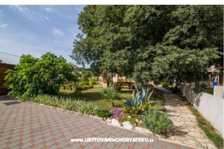 Studio apartmani Petra photo 4