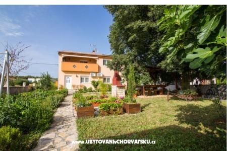 Studio apartmani Petra photo 5