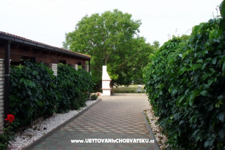 Villa Toni photo 3