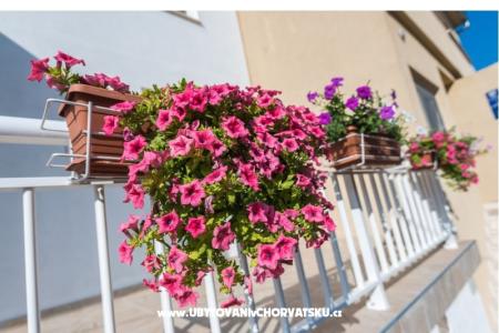 Apartments Galeb photo 3