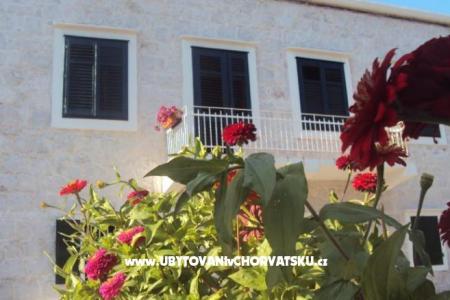 Apartments  Petar photo 3