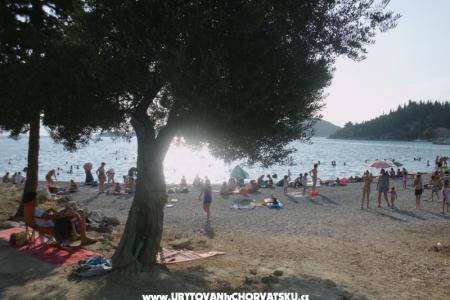 Apartments  Petar photo 4