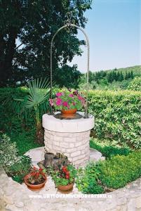 House Pipinic photo 4