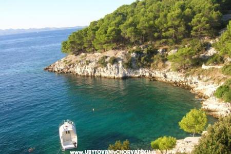 Apartments Rogosic photo 4