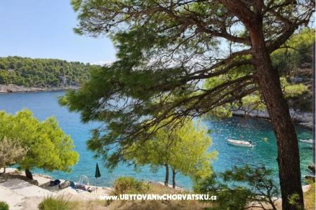 Apartments Rogosic Osibova photo 2