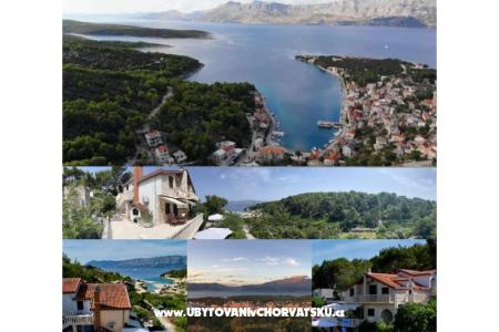 Apartments Villa Dragica photo 2