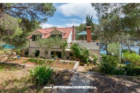 Apartment Antonio photo 2
