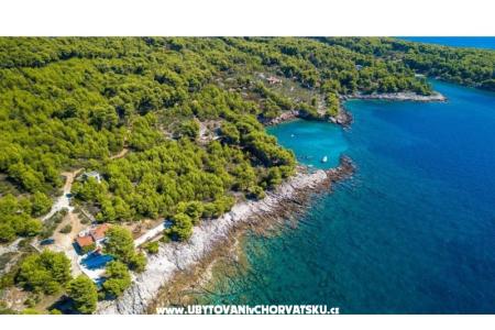 Family House Futura photo 3