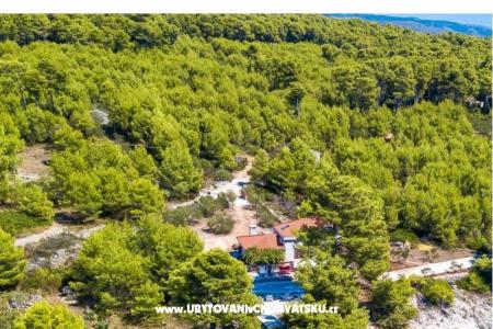 Family House Futura photo 4