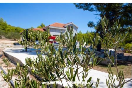 Family House Futura photo 5