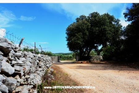 House Sweet Dreams photo 4