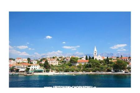 House Bongovila photo 2