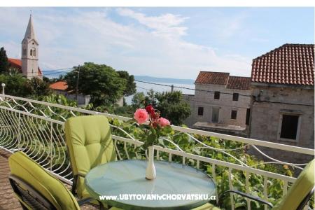 House Bongovila photo 3