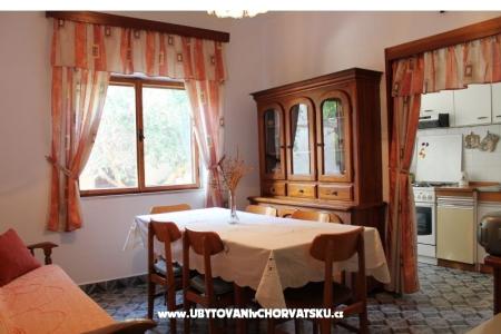 House Bongovila photo 5