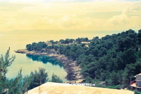 Sea House photo 4