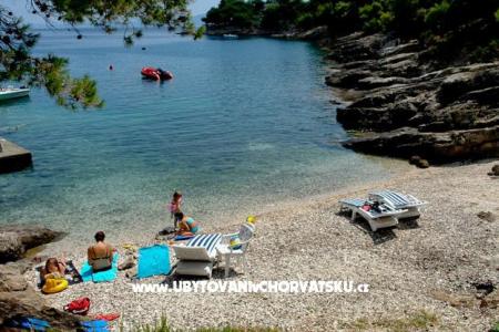 Vila Amelia photo 5
