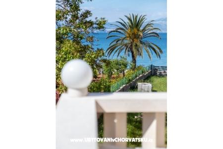 Villa Nelly Island of Brac Croatia