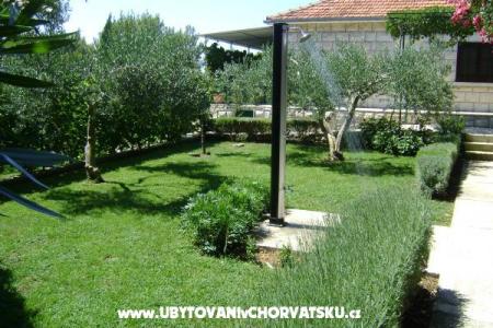 Villa Nikola photo 4