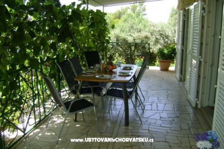 Villa Nikola photo 5