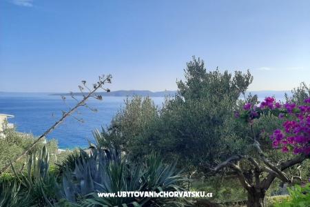 Adria Marija photo 5