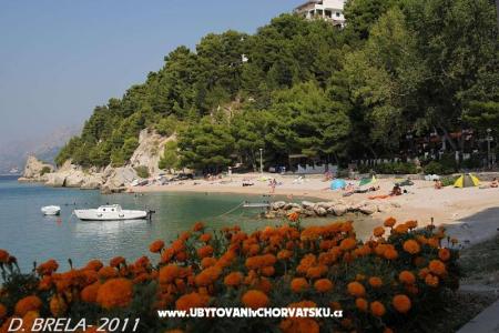 Apartments Nela photo 3