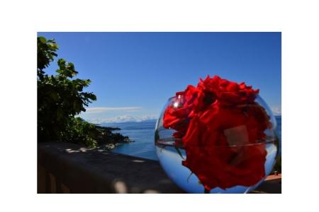 Apartments Perla Brela Croatia