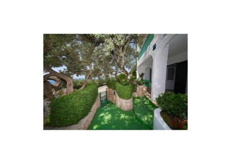 Apartments Ribičić Brela photo 5