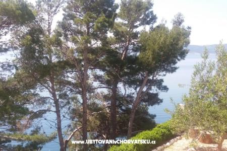 Apartments Vesna  - Brela photo 4