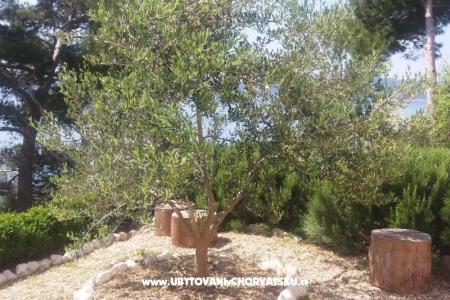 Apartments Vesna  - Brela photo 5