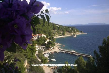 Apartments Jagoda photo 3