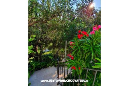 Apartment Renata photo 5