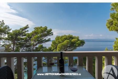 Beachview Apartments/Free parking photo 3