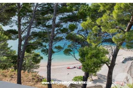 Beachview Apartments/Free parking photo 4