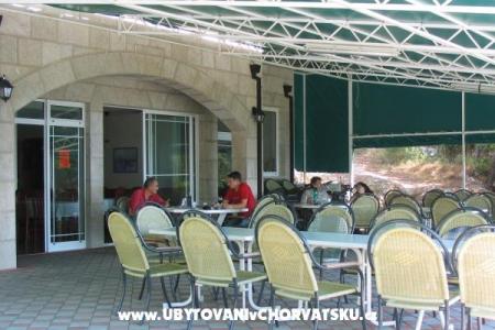 Hotel Luka - Brela photo 5