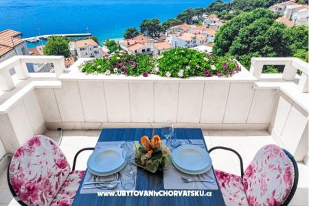 Rooms and Apartmentts Medic photo 2